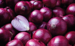 Onion