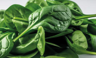 Spinach